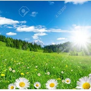 Meet your Posher, Beverly